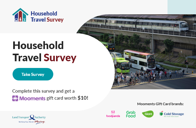kingston household travel survey